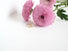 Gold ring with butterfly design on a white surface with pink flowers and green leaves.