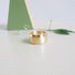 A wide gold ring with soft brushed textured surface and a high polished edge
